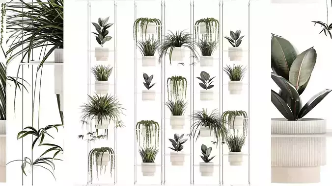 Hanging shelf on ropes pot Senecio Ficus Chlorophytum 1421