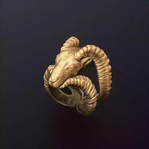 Capricorn Ring