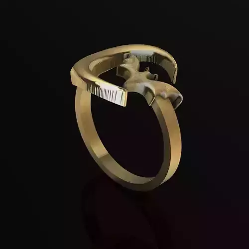 anillo de murcielago 