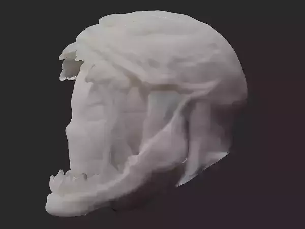 spider-man inside a venom