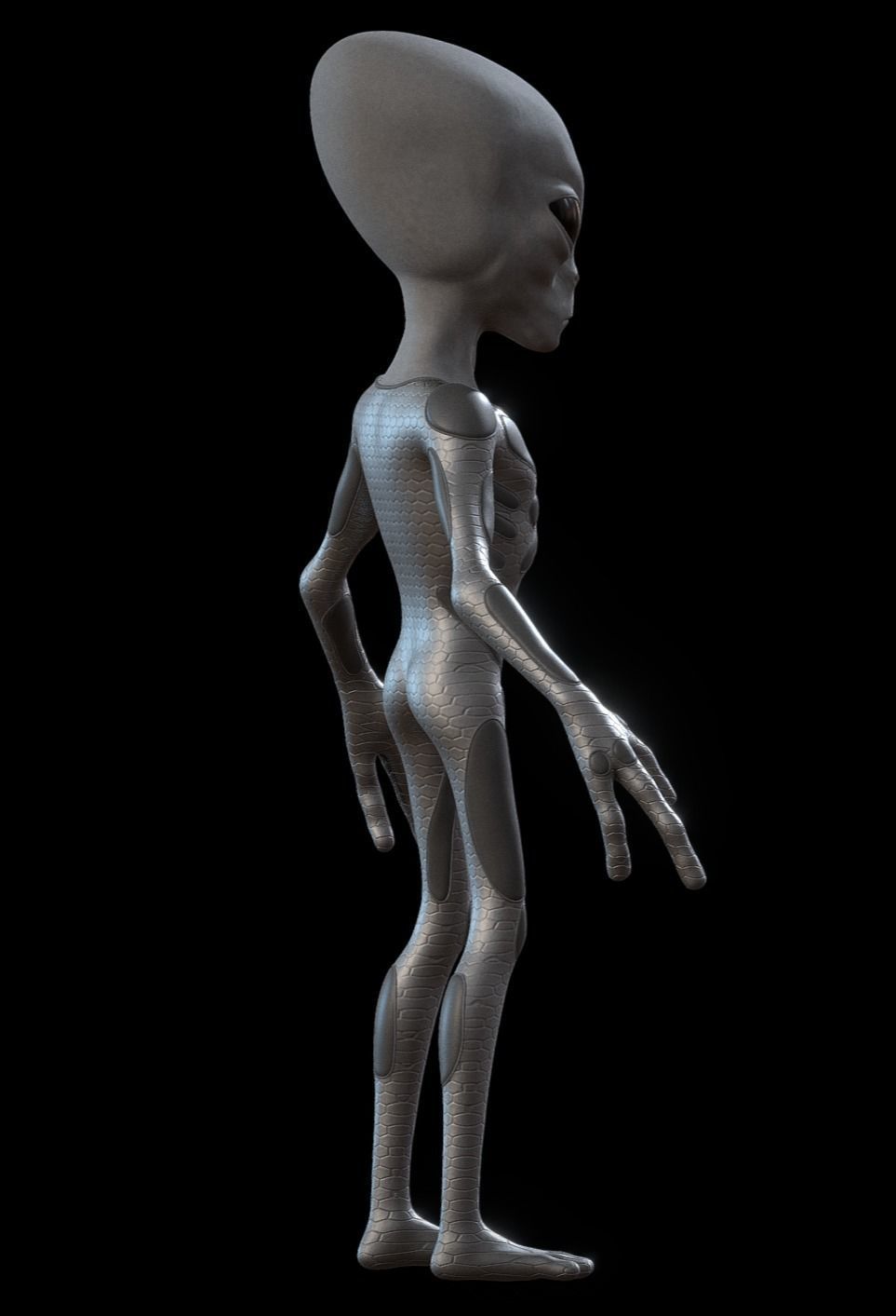 The Grey - omsx 3D model_4