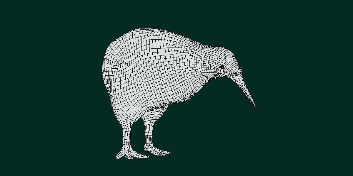 Kiwi Flightless Bird Animal Low-poly 3D model_6