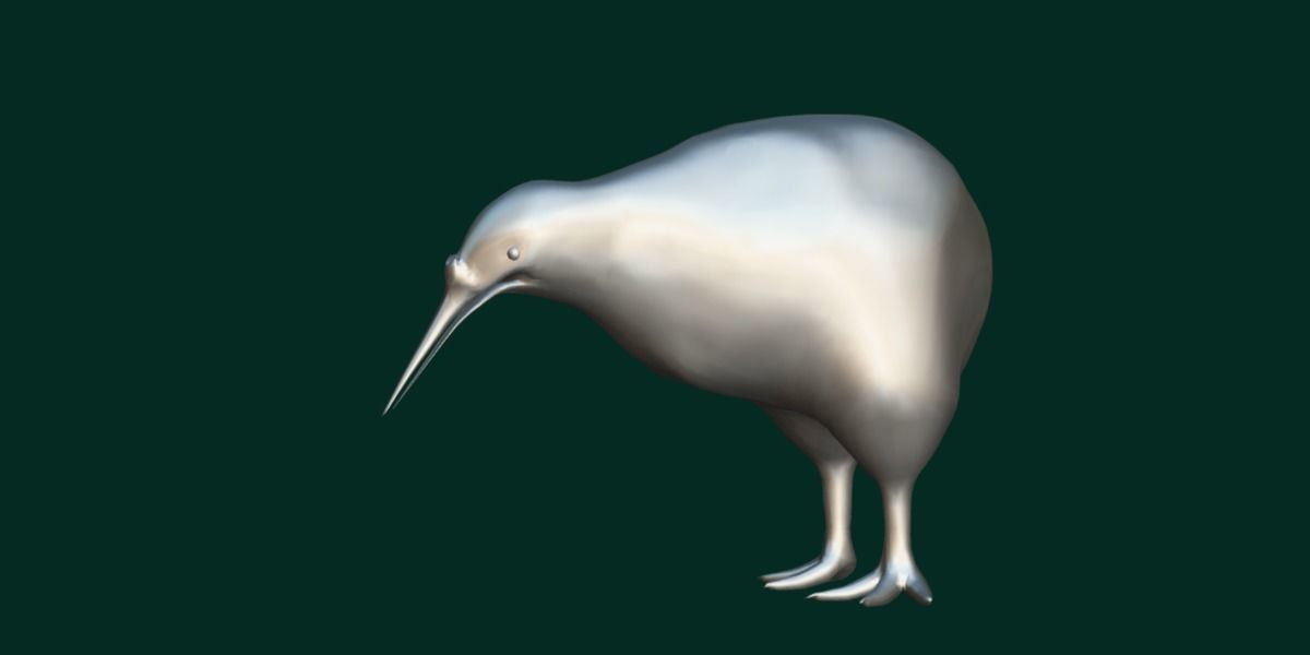 Kiwi Flightless Bird Animal Low-poly 3D model_4