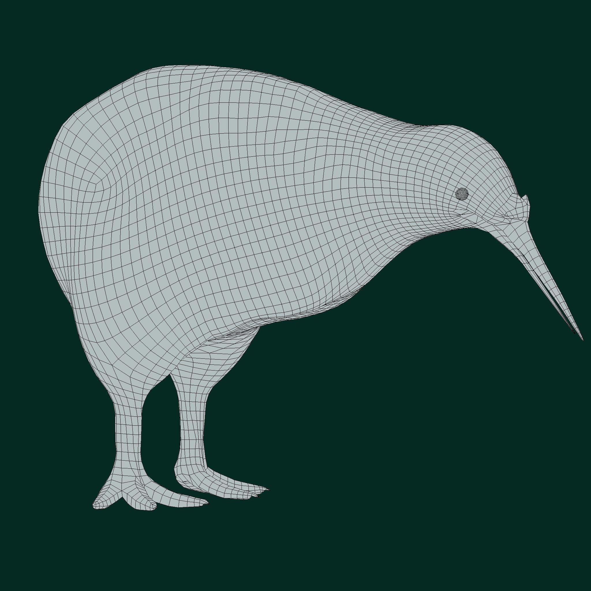 Kiwi Flightless Bird Animal Low-poly 3D model_15