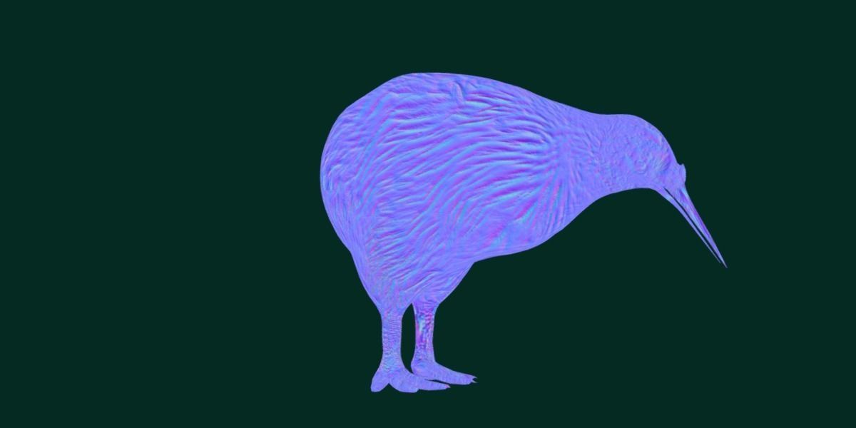 Kiwi Flightless Bird Animal Low-poly 3D model_21