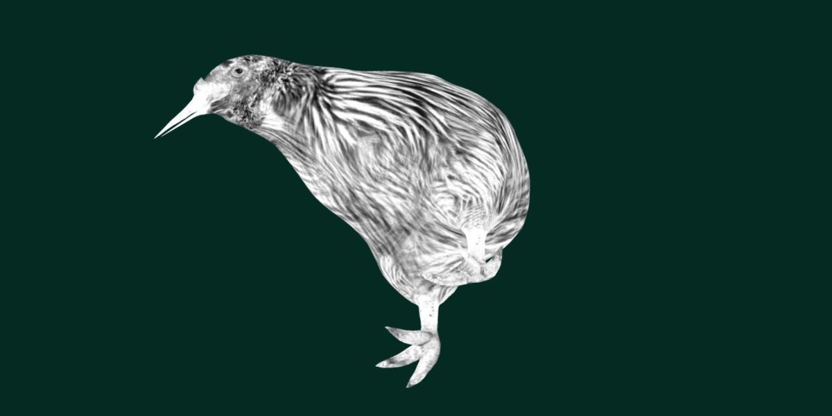 Kiwi Flightless Bird Animal Low-poly 3D model_22