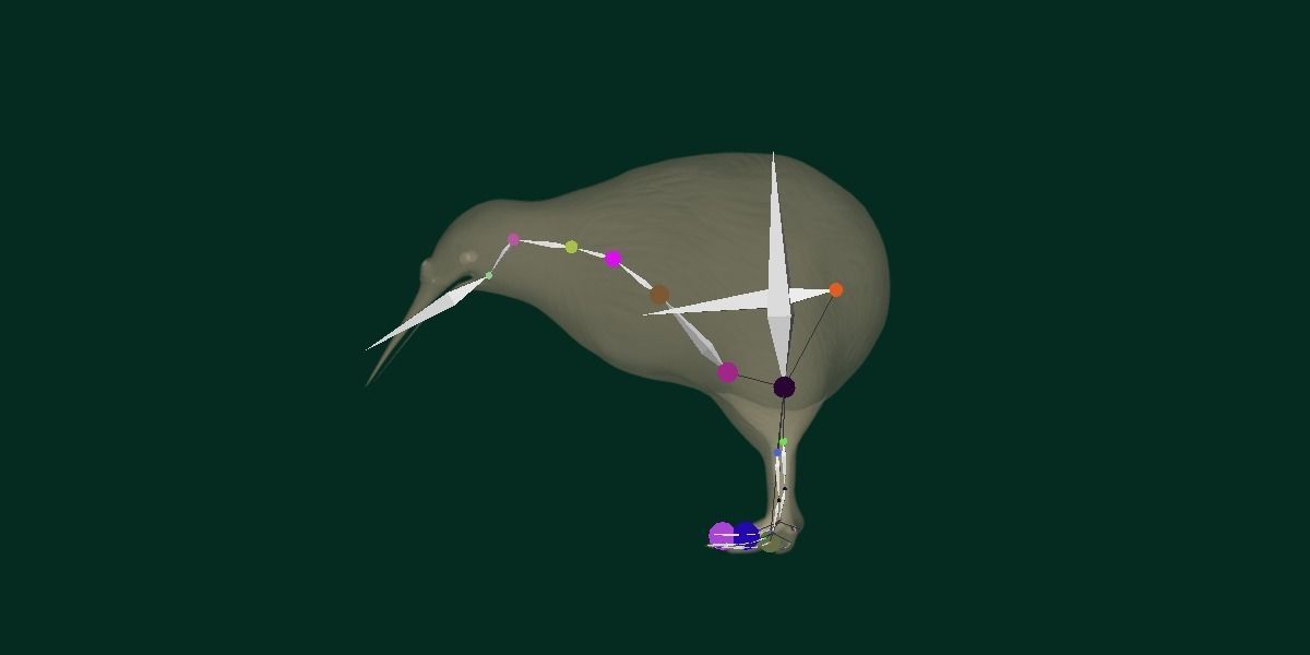 Kiwi Flightless Bird Animal Low-poly 3D model_14