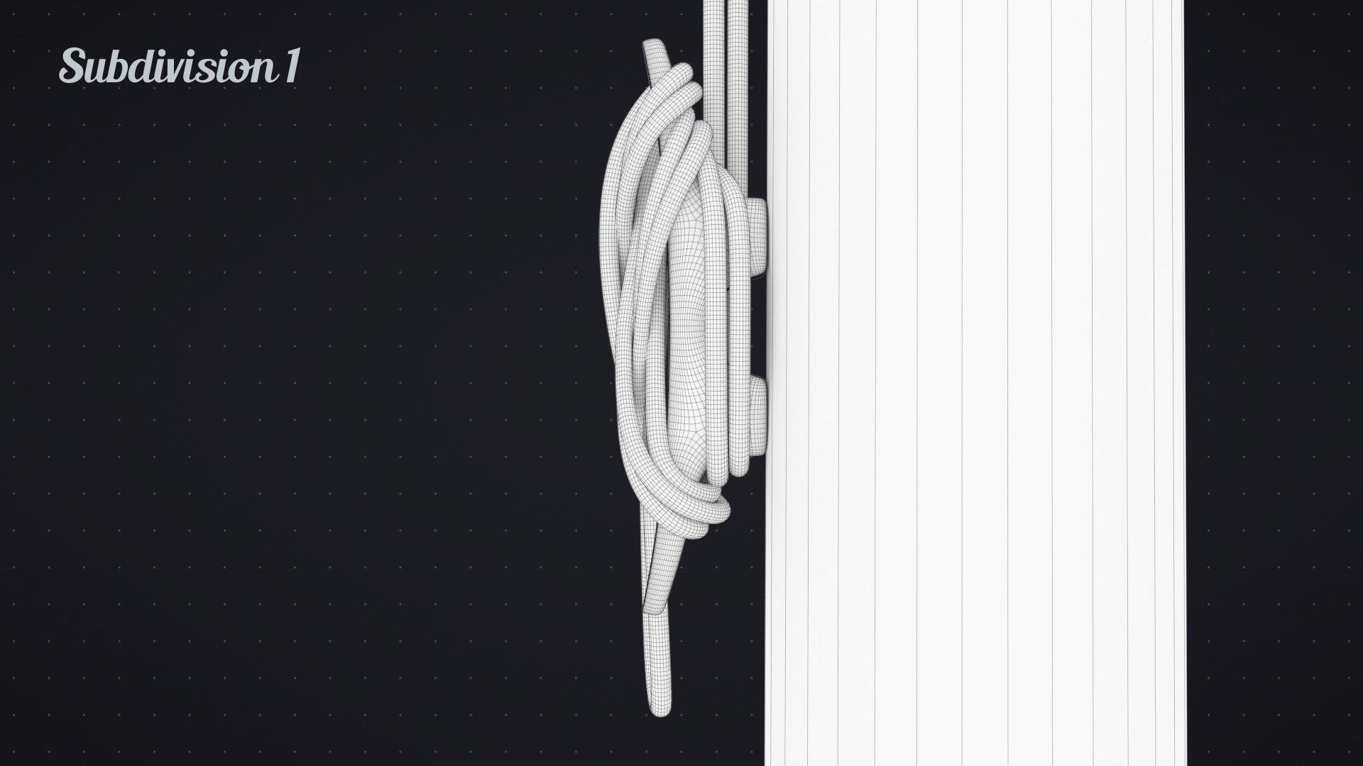 Flag Animated Looped 3D model_28