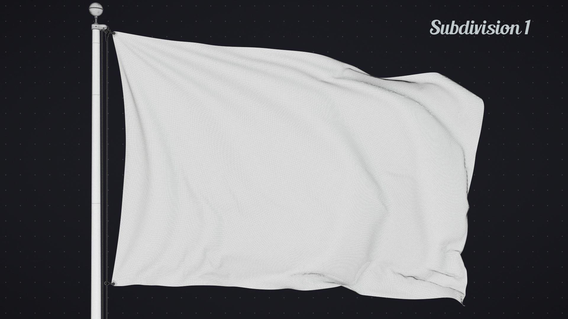 Flag Animated Looped 3D model_16