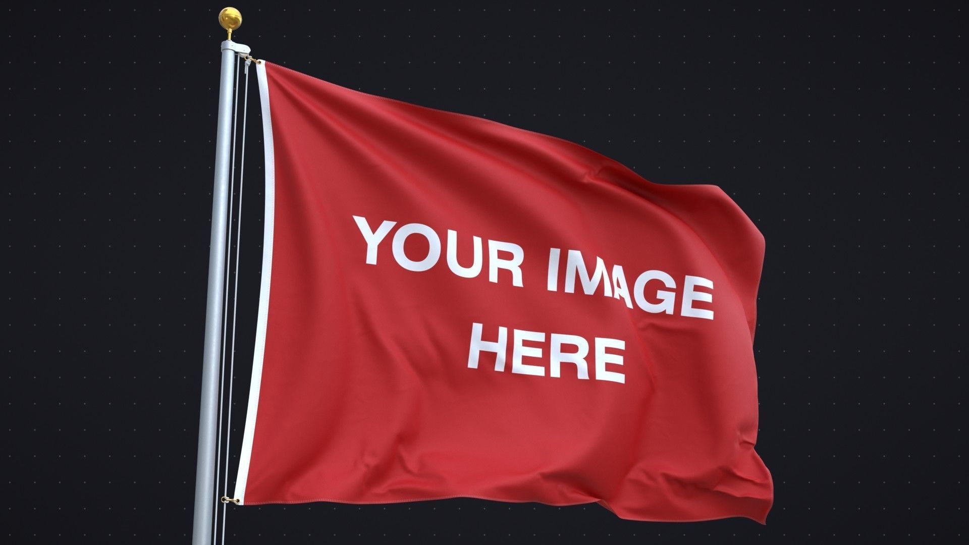 Flag Animated Looped 3D model_3