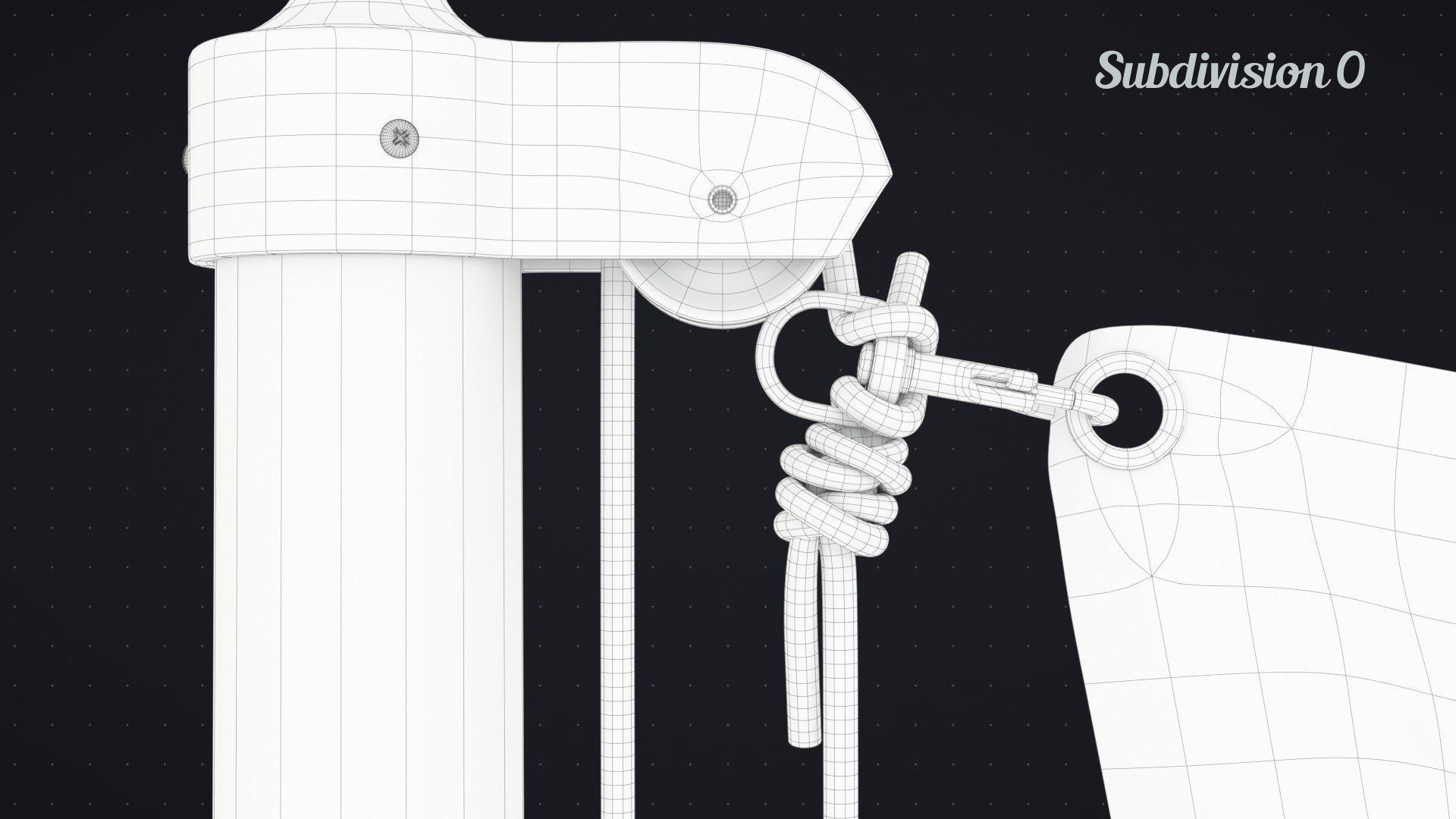 Flag Animated Looped 3D model_19