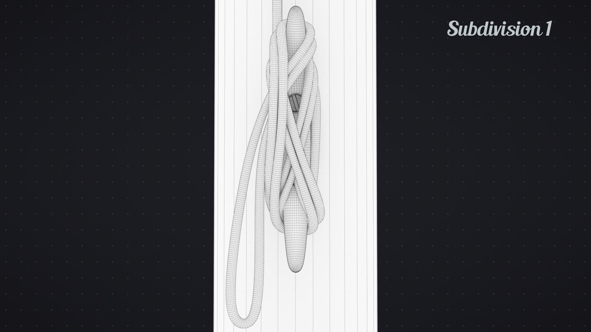 Flag Animated Looped 3D model_24