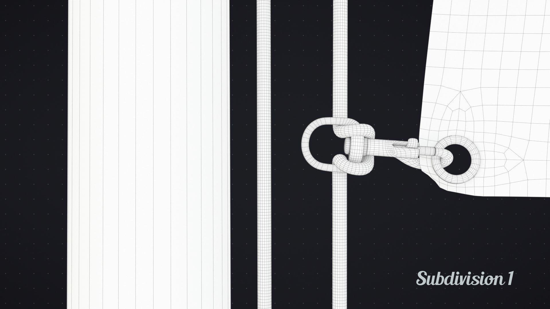 Flag Animated Looped 3D model_22