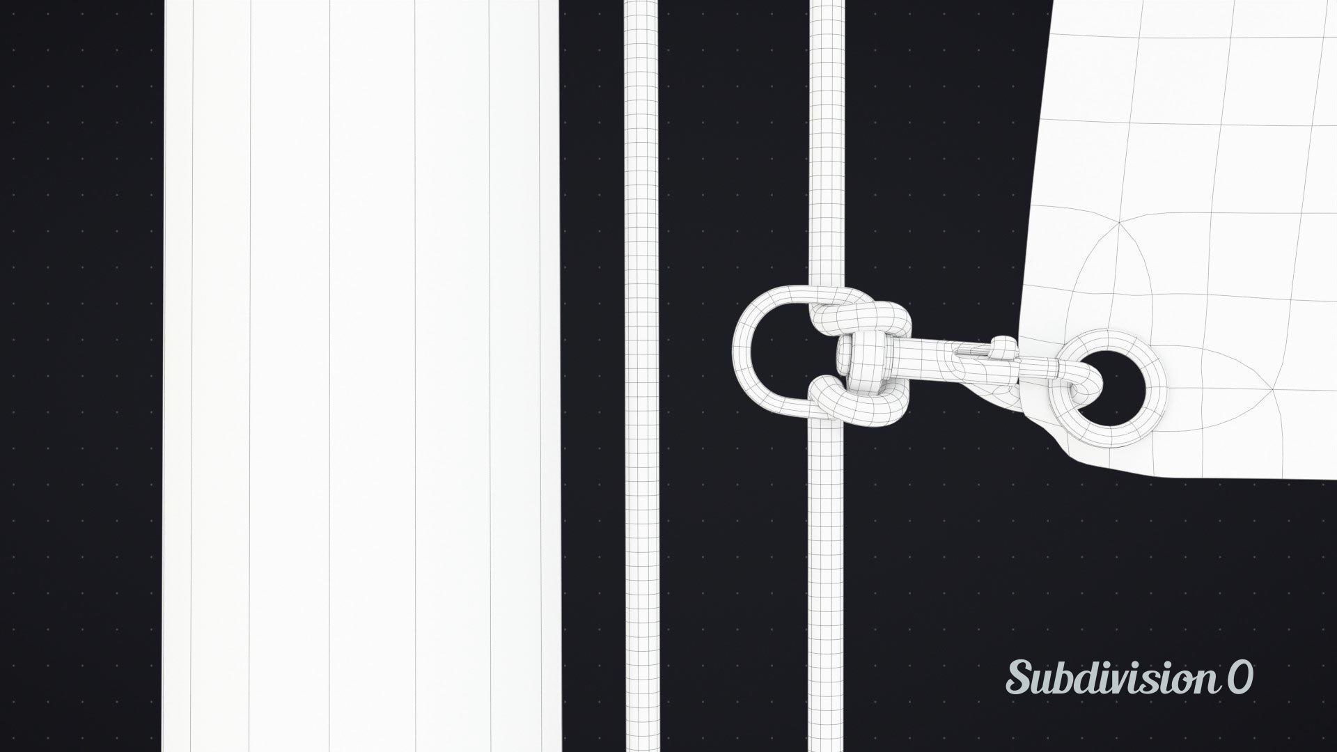 Flag Animated Looped 3D model_21