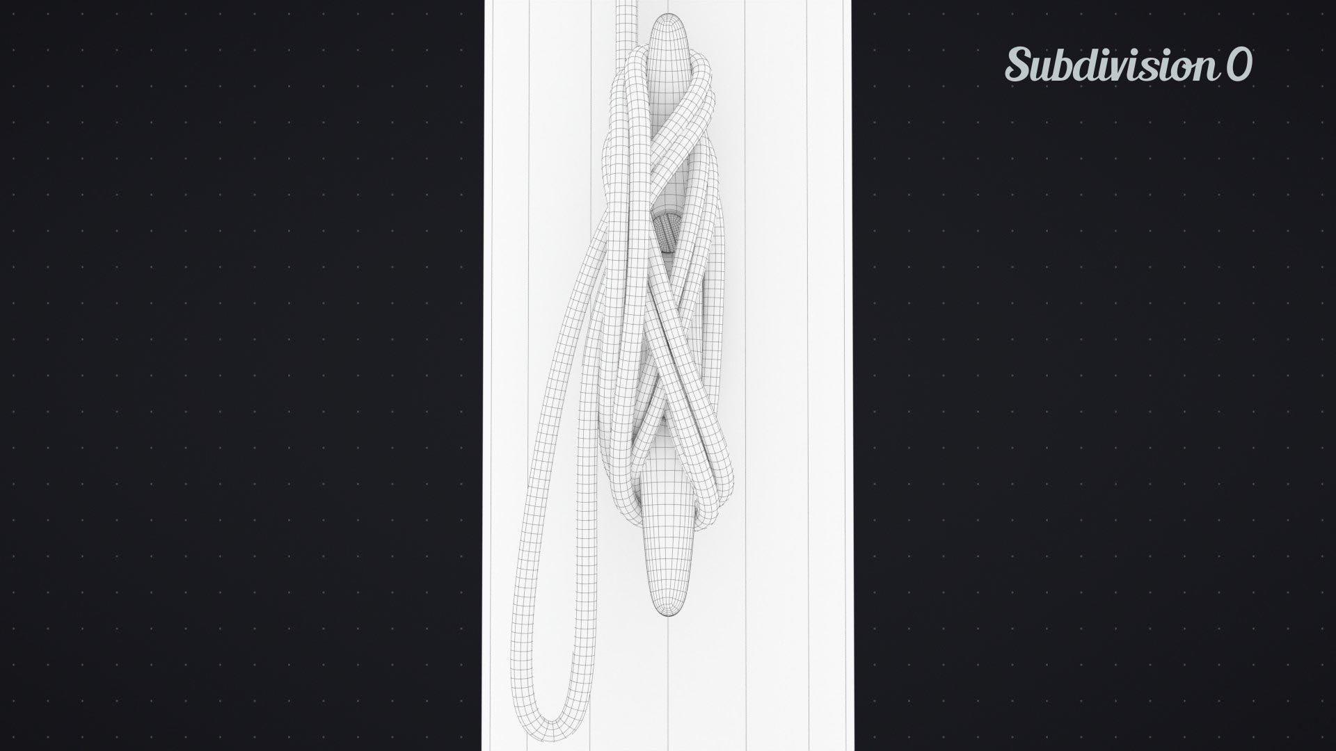 Flag Animated Looped 3D model_23