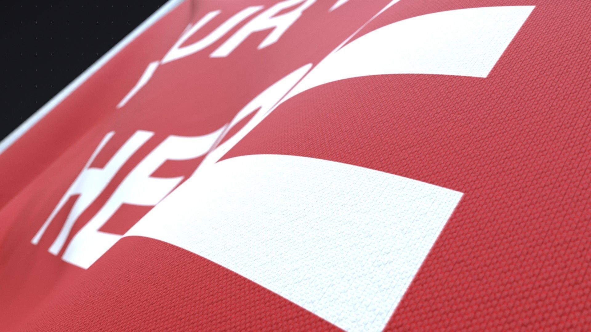 Flag Animated Looped 3D model_12