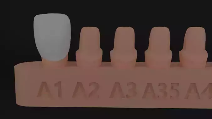 Coloring platform 3D print model