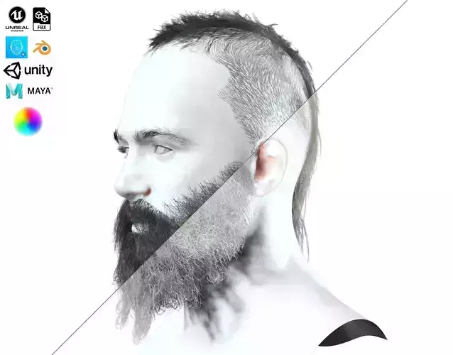 Berber Male Hair - Messy long Beard Mustache Low-poly 3D model