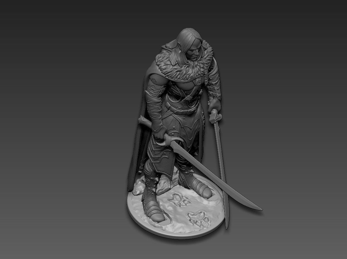 Drizzt Do Urden 3D print model_17