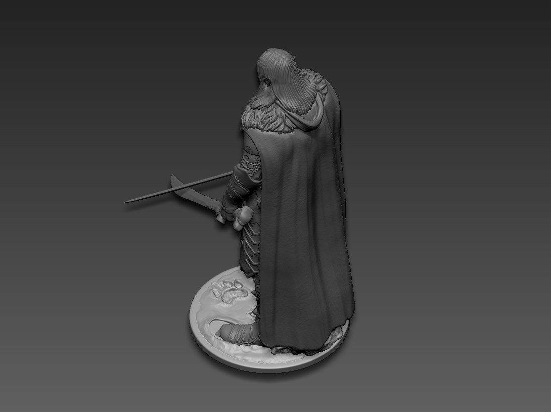 Drizzt Do Urden 3D print model_19