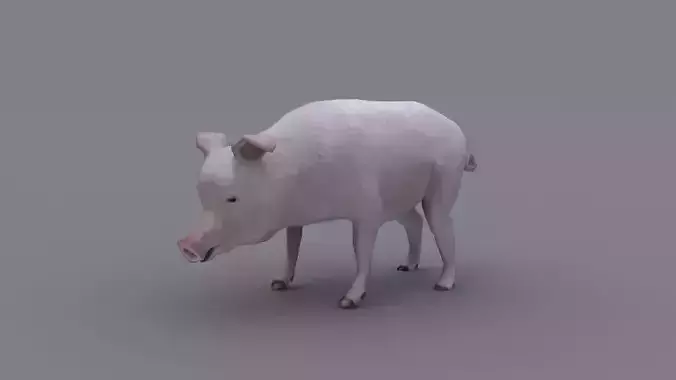 PIG GAME READY ANIMATED MODEL Low-poly 3D model