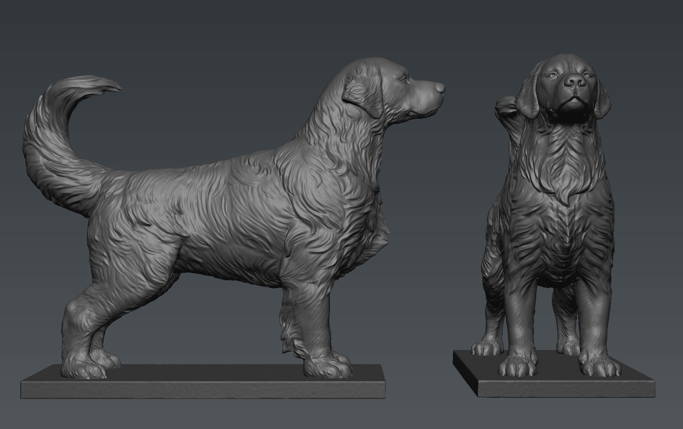 Golden Retriever  3D print model_4