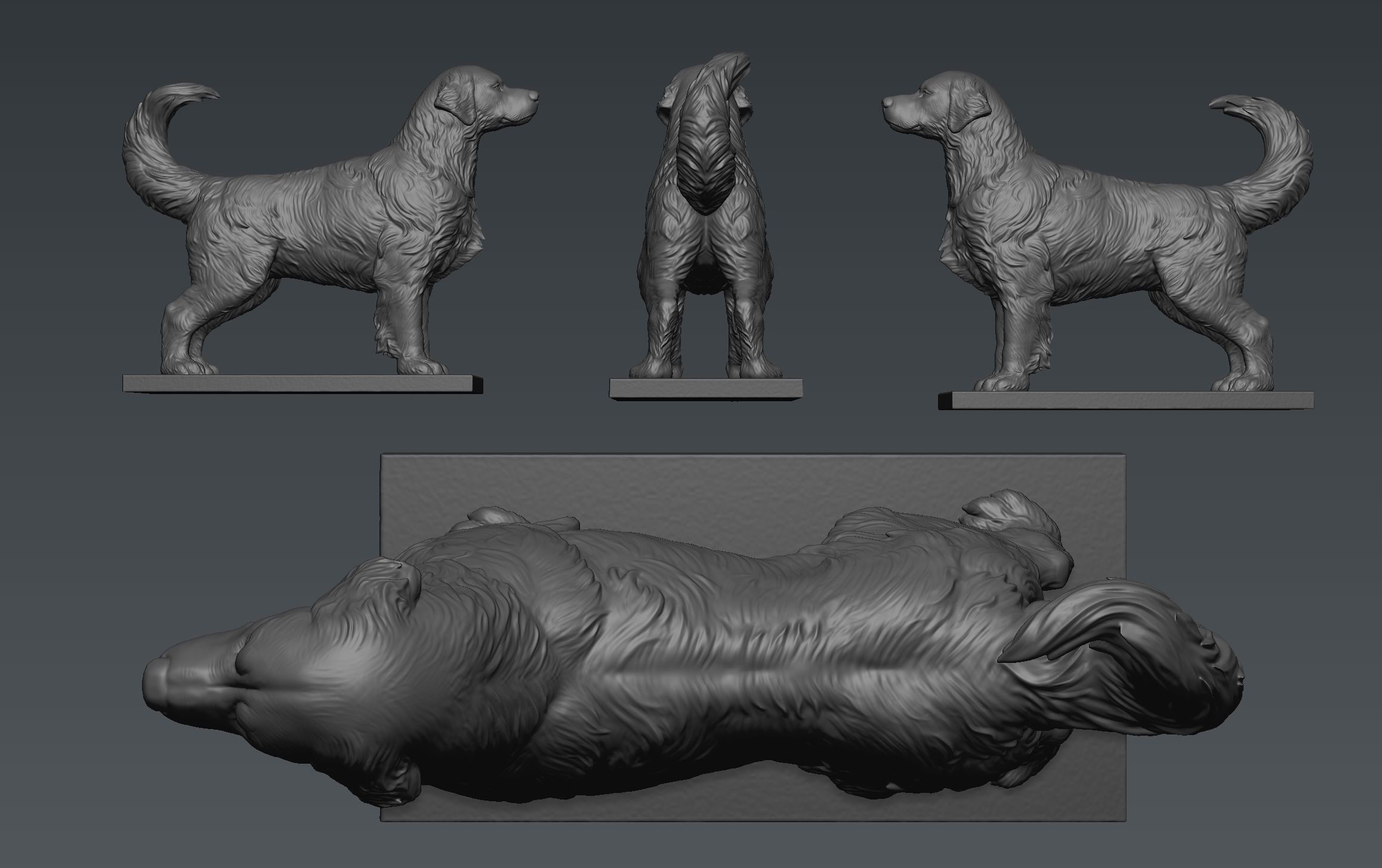 Golden Retriever  3D print model_5