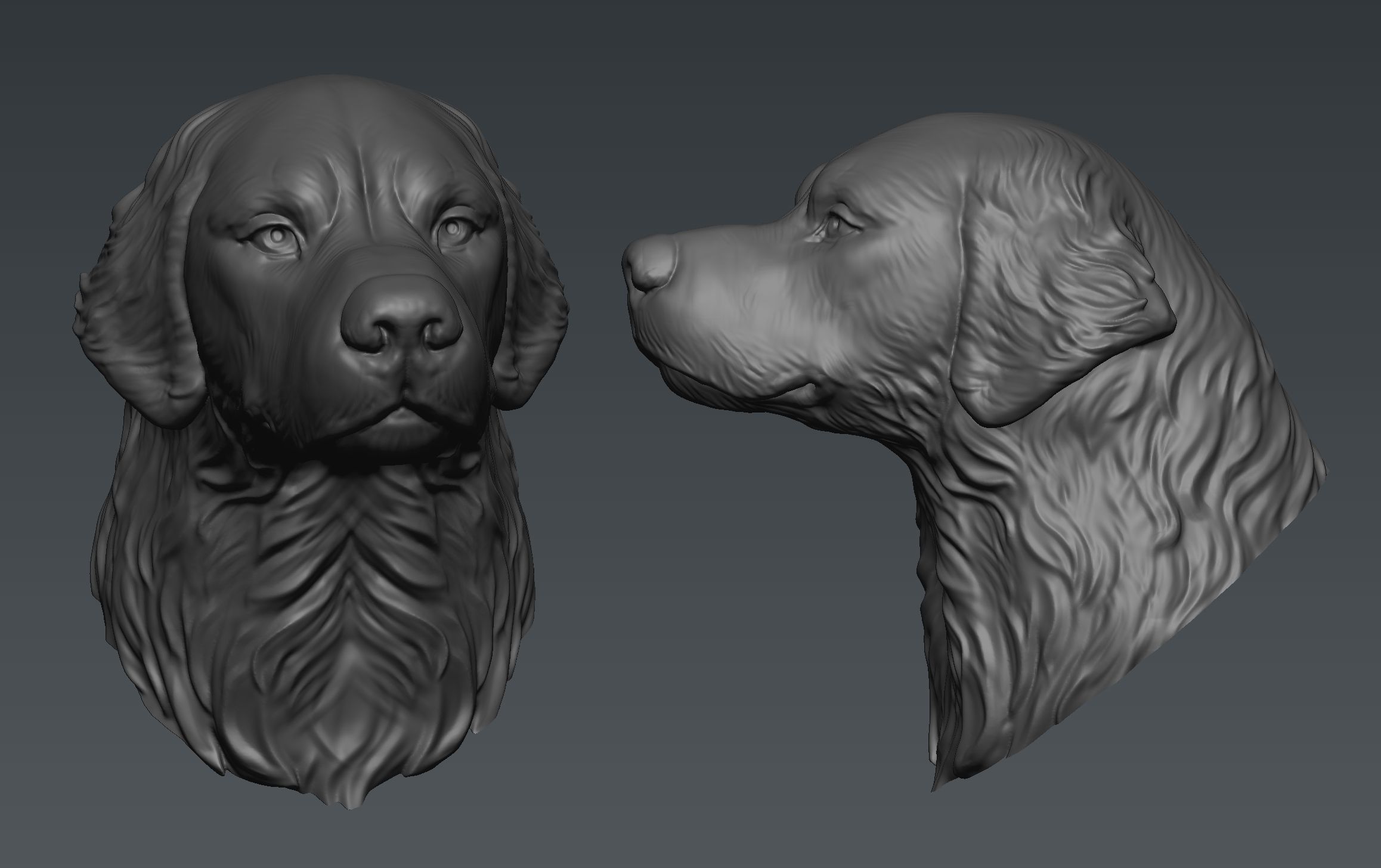 Golden Retriever  3D print model_7