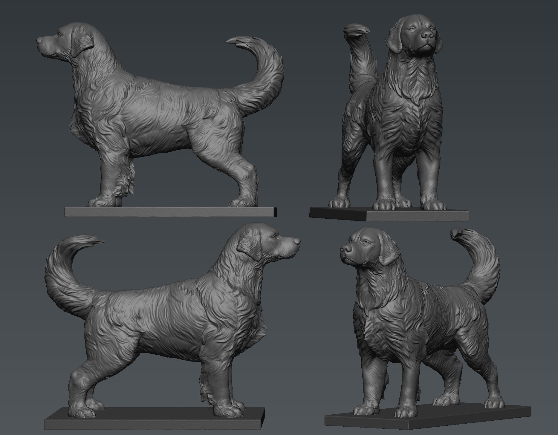 Golden Retriever  3D print model_6