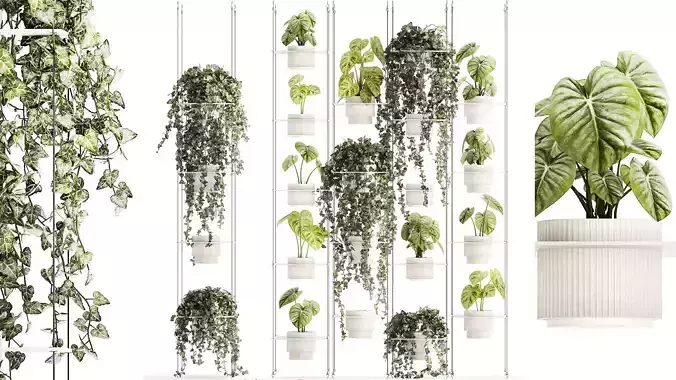 Shelf hanging on ropes plants pot Ivy Anthurium 1422