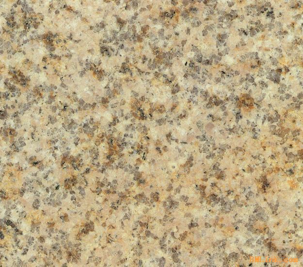 Free 3D Swimming-Pool Models 3D model_9