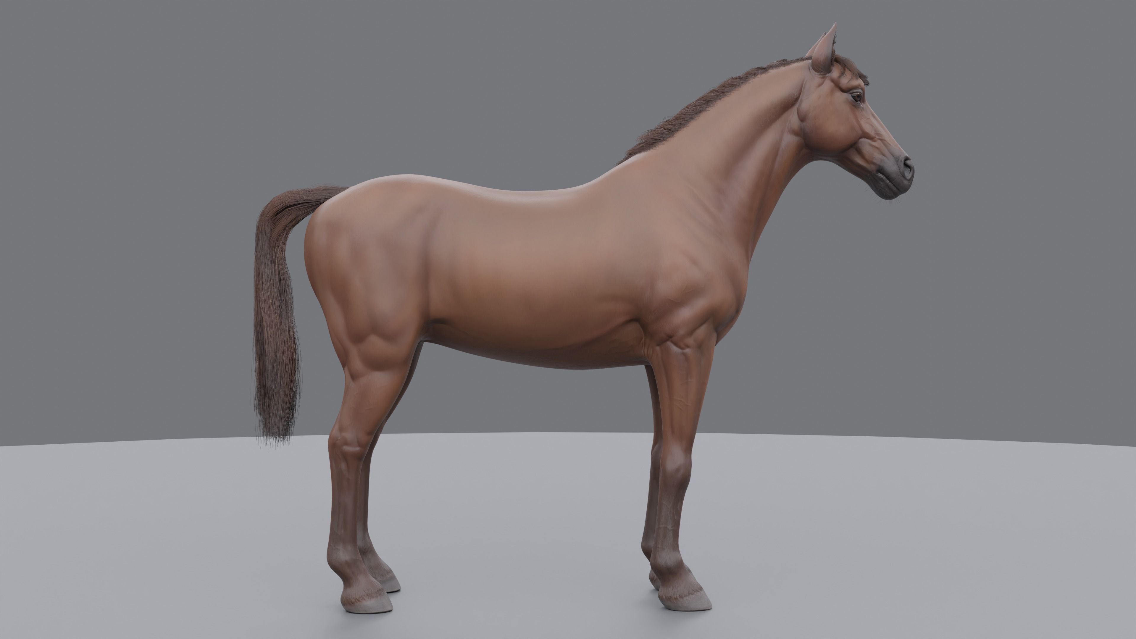 PBR Rigged Horse 4 styles 3D model_21