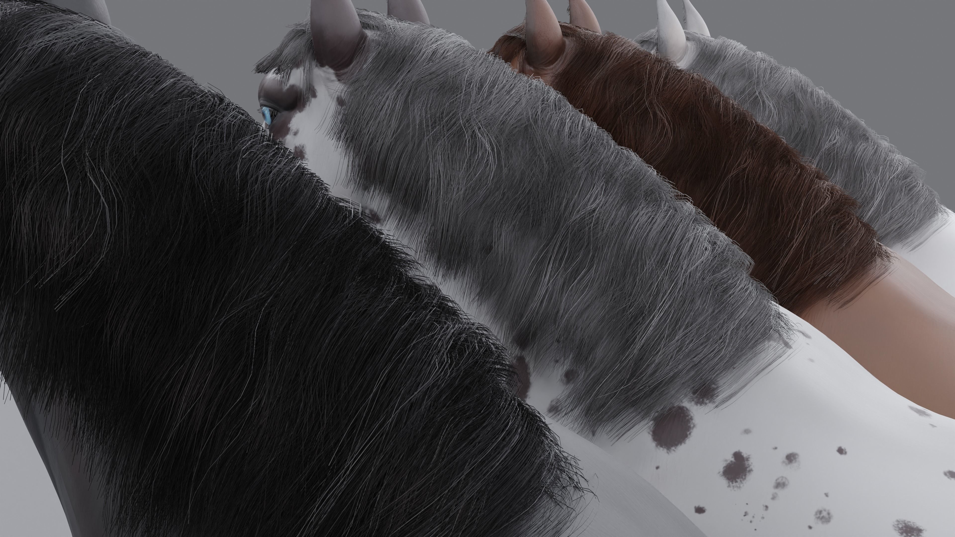 PBR Rigged Horse 4 styles 3D model_13