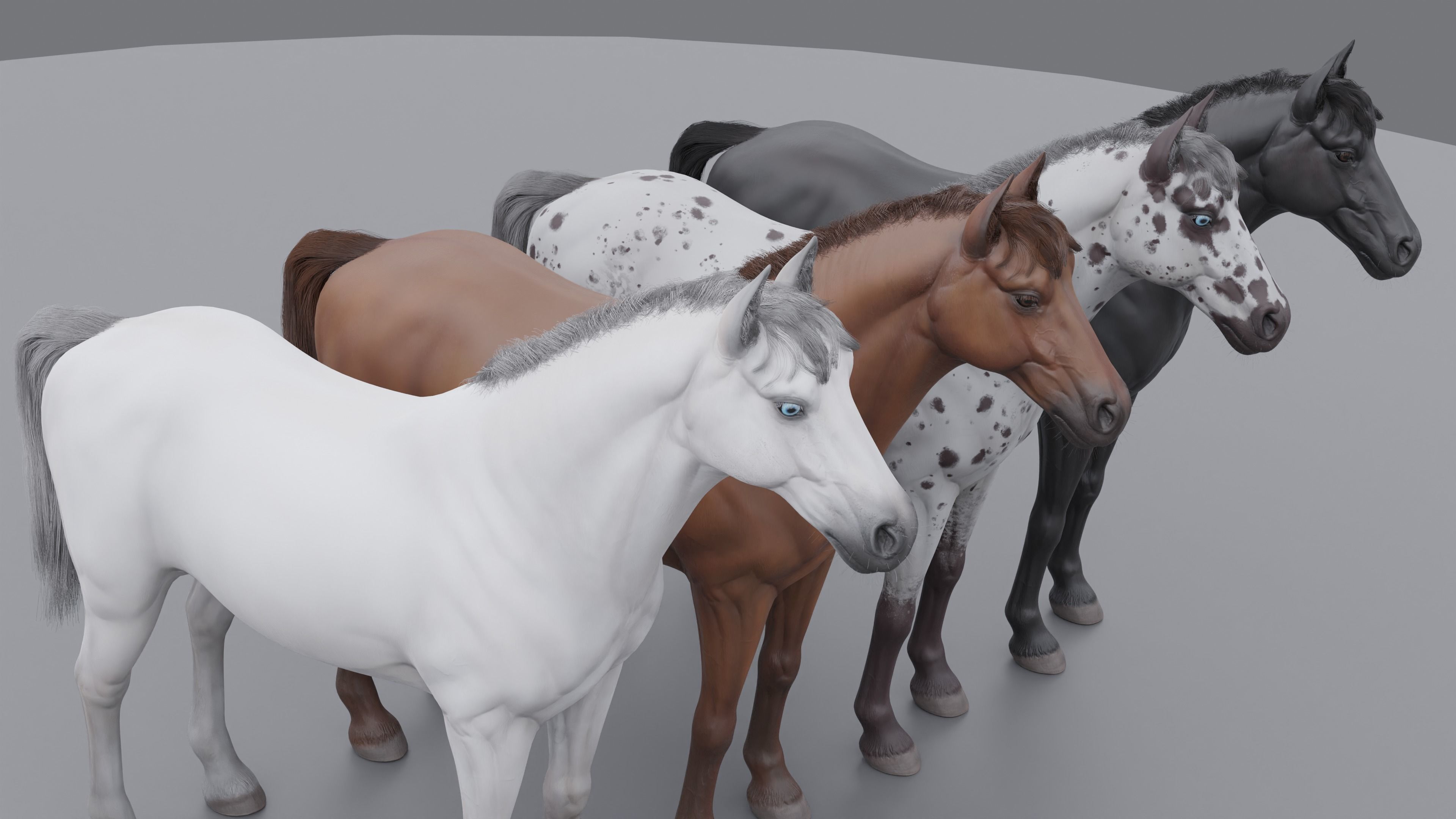PBR Rigged Horse 4 styles 3D model_9