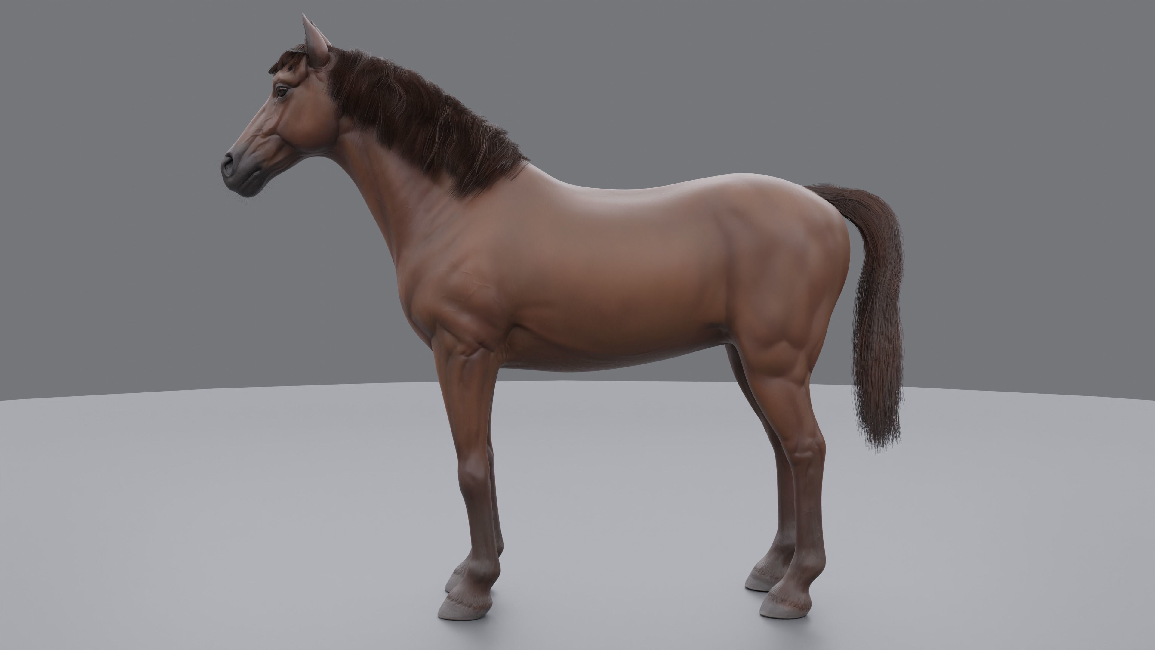 PBR Rigged Horse 4 styles 3D model_20
