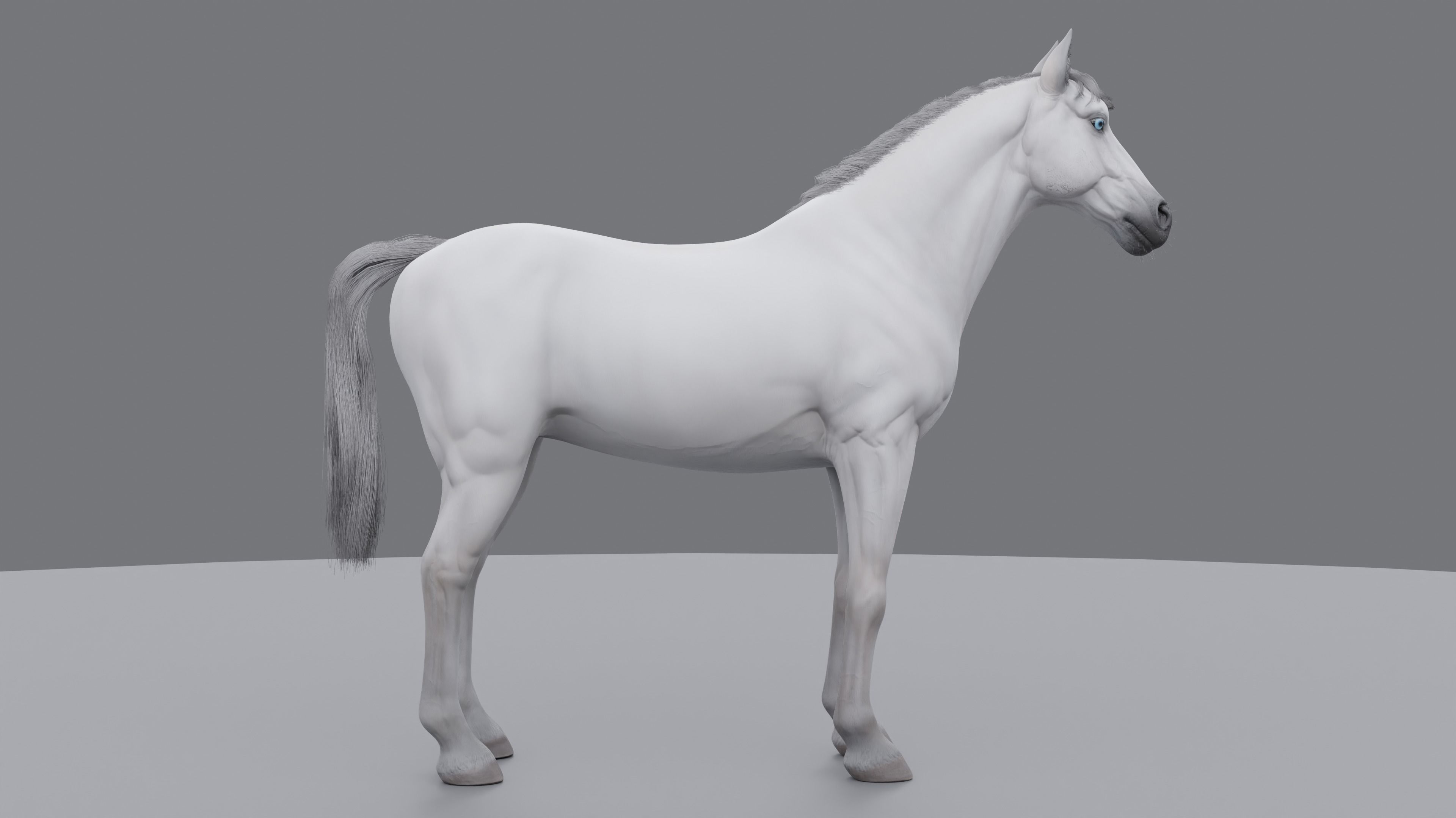 PBR Rigged Horse 4 styles 3D model_23