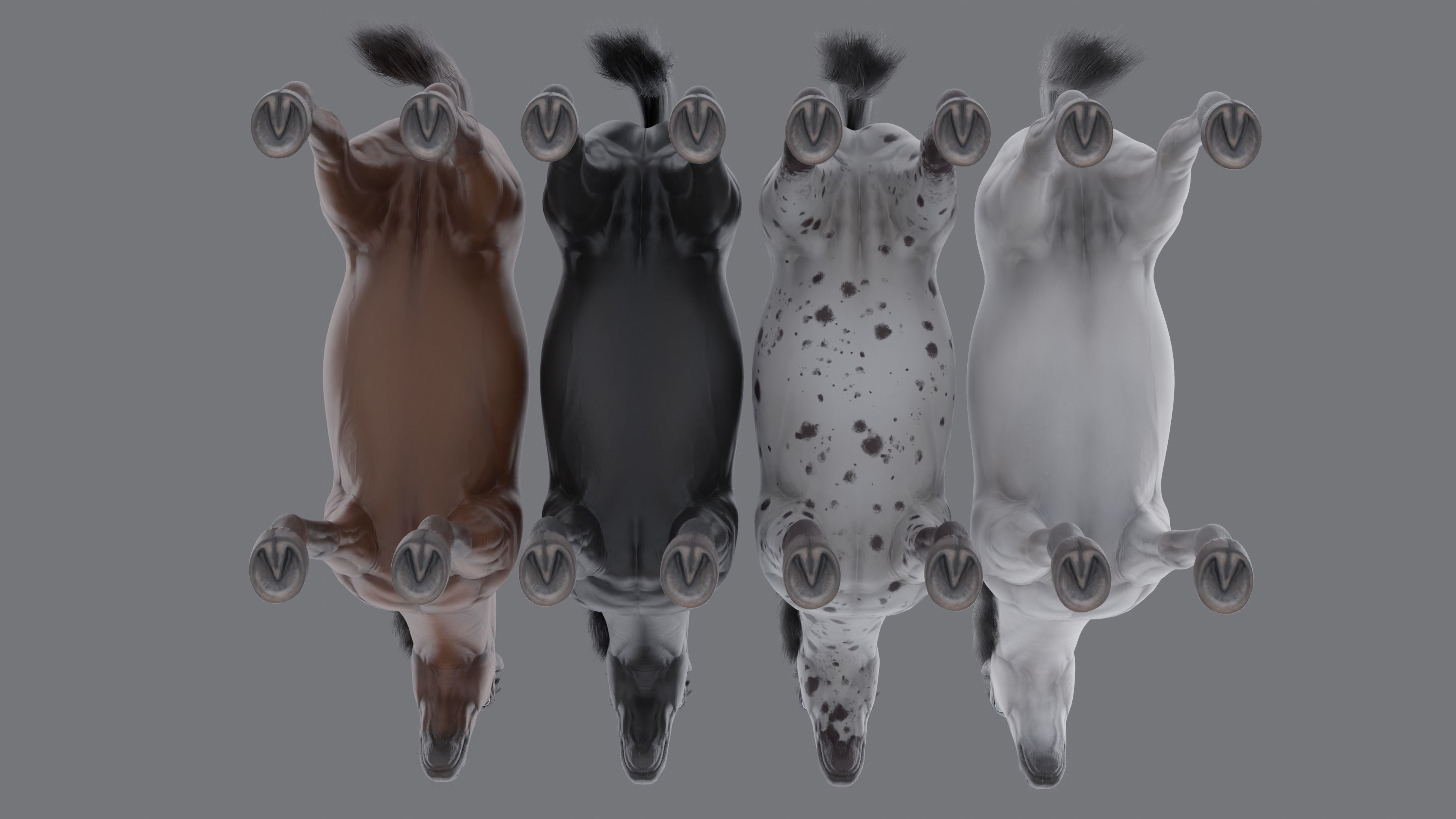 PBR Rigged Horse 4 styles 3D model_14