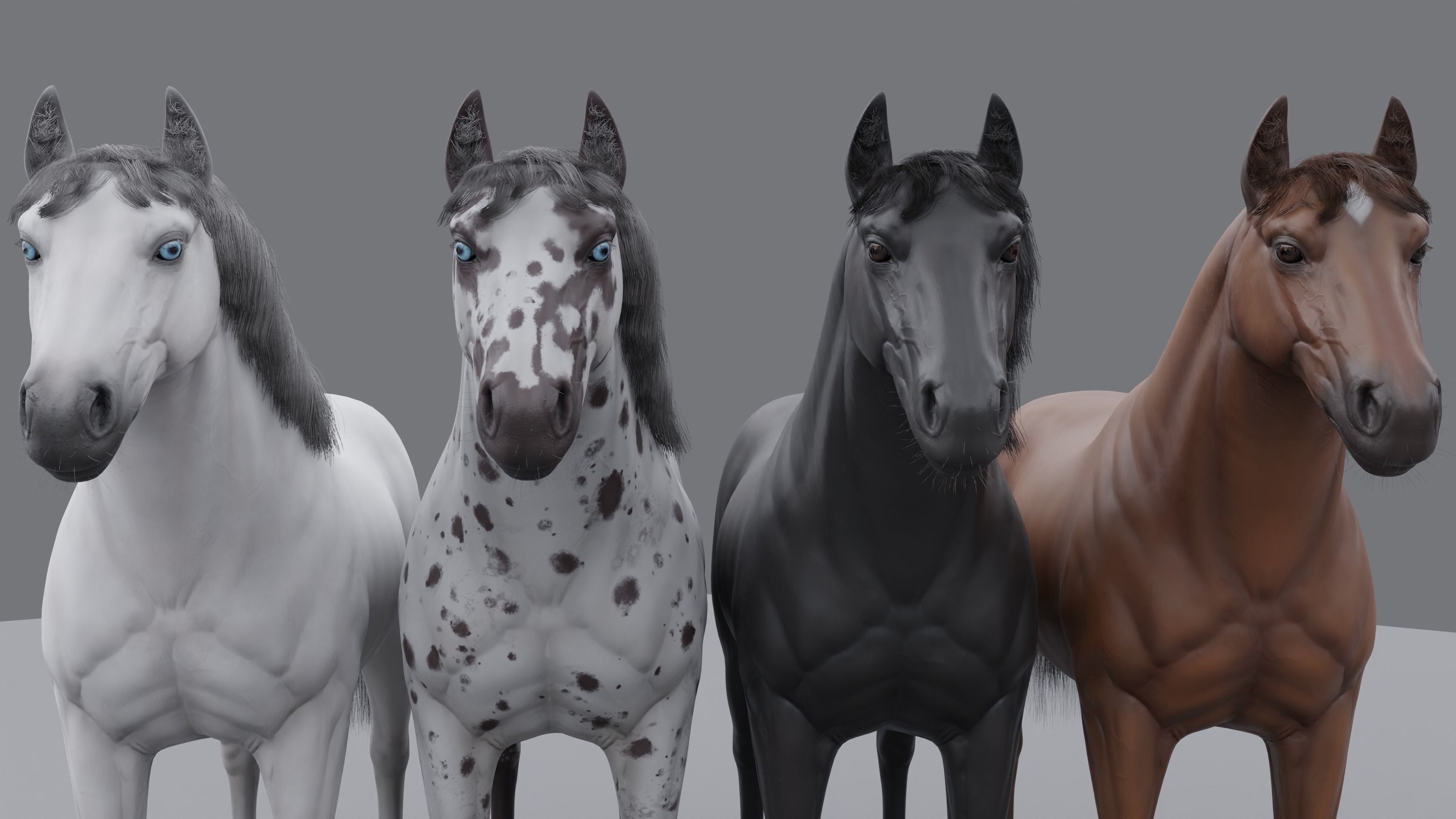 PBR Rigged Horse 4 styles 3D model_16