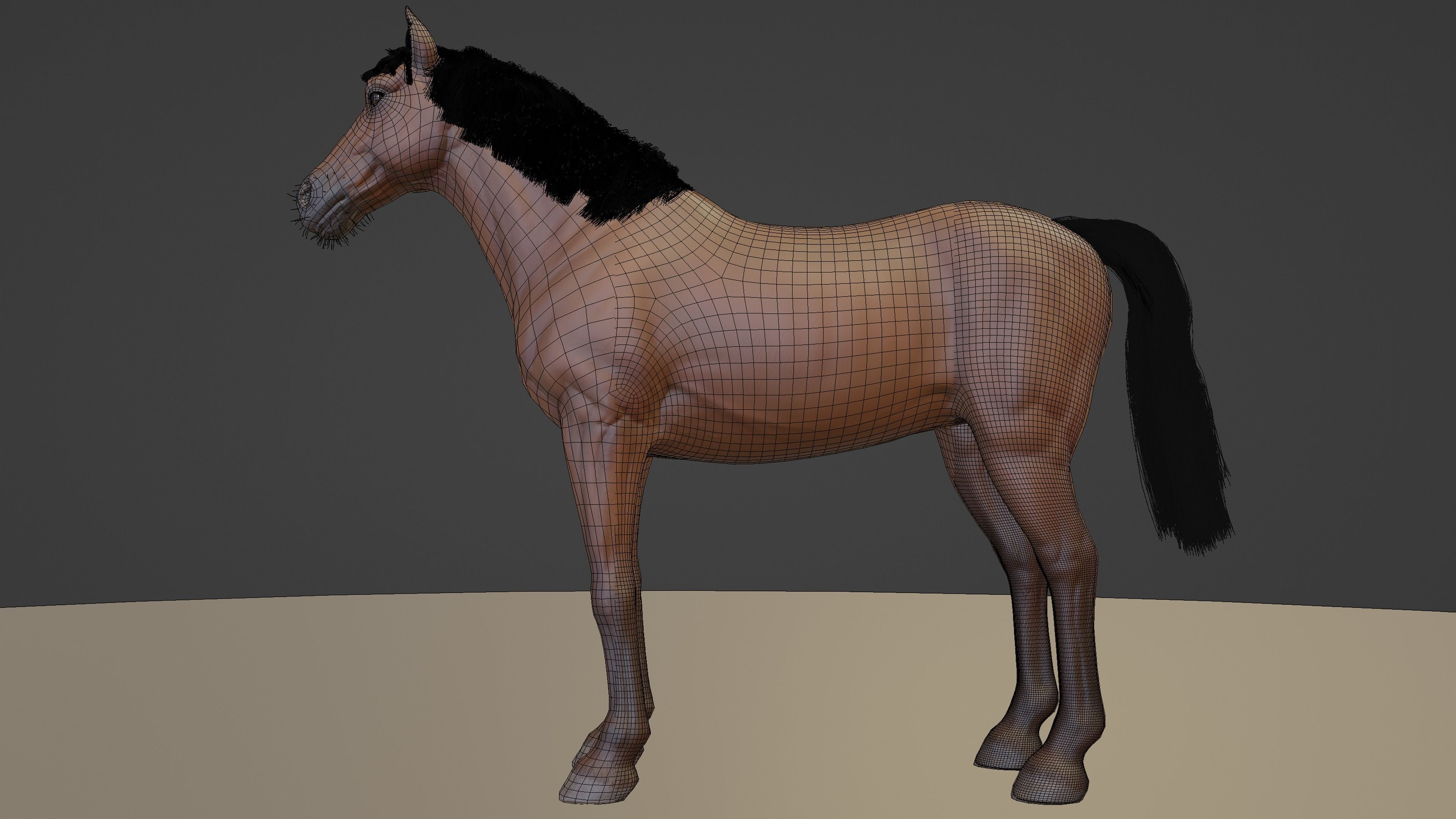 PBR Rigged Horse 4 styles 3D model_35