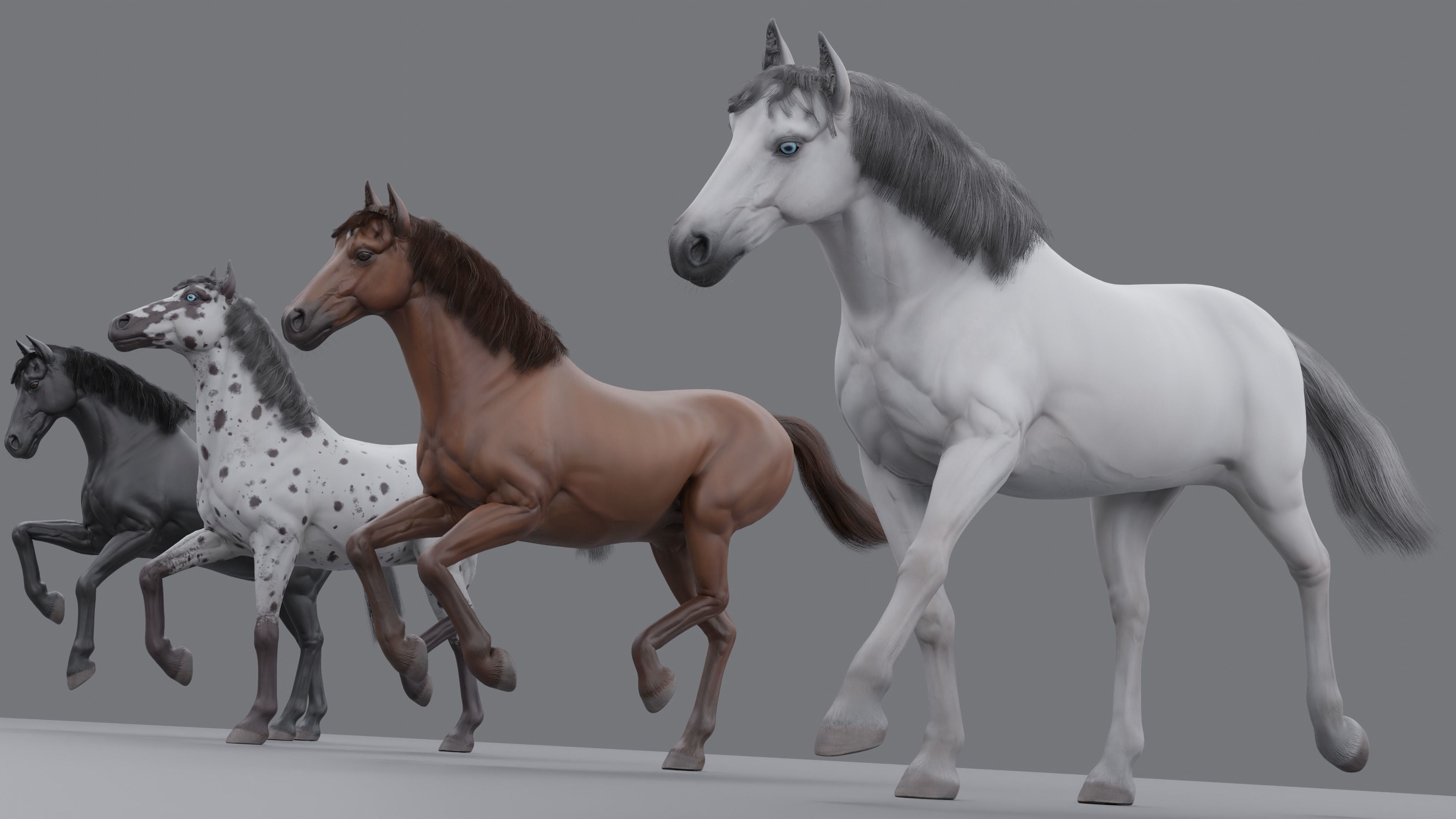 PBR Rigged Horse 4 styles 3D model_3