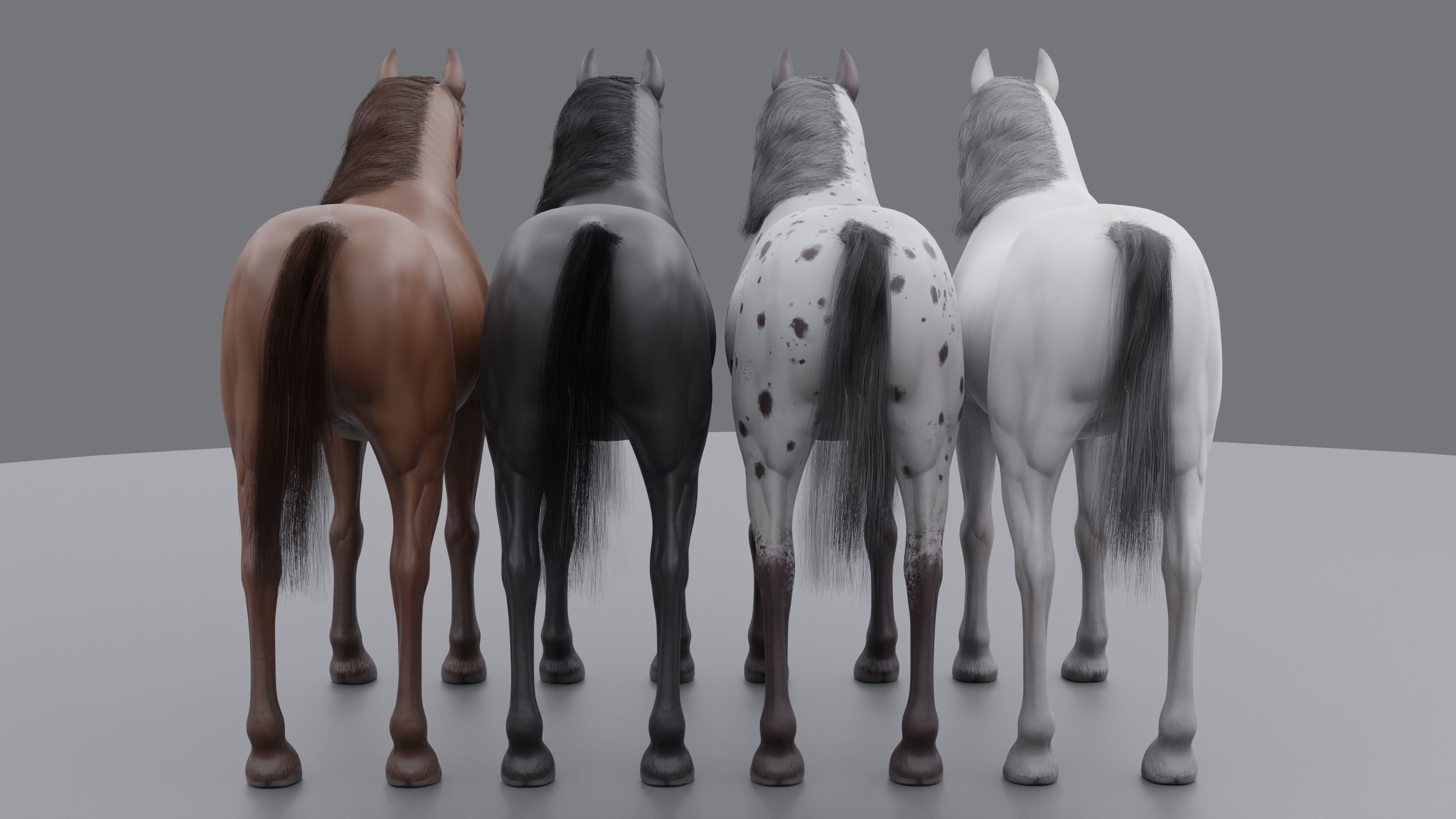 PBR Rigged Horse 4 styles 3D model_10
