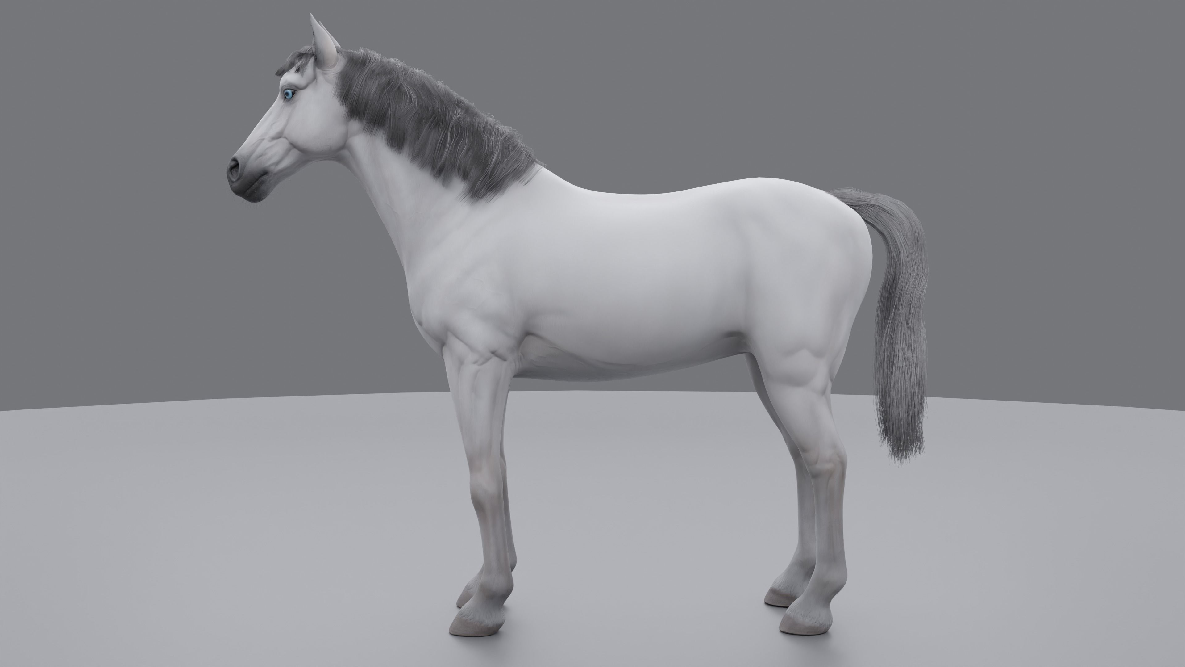 PBR Rigged Horse 4 styles 3D model_22