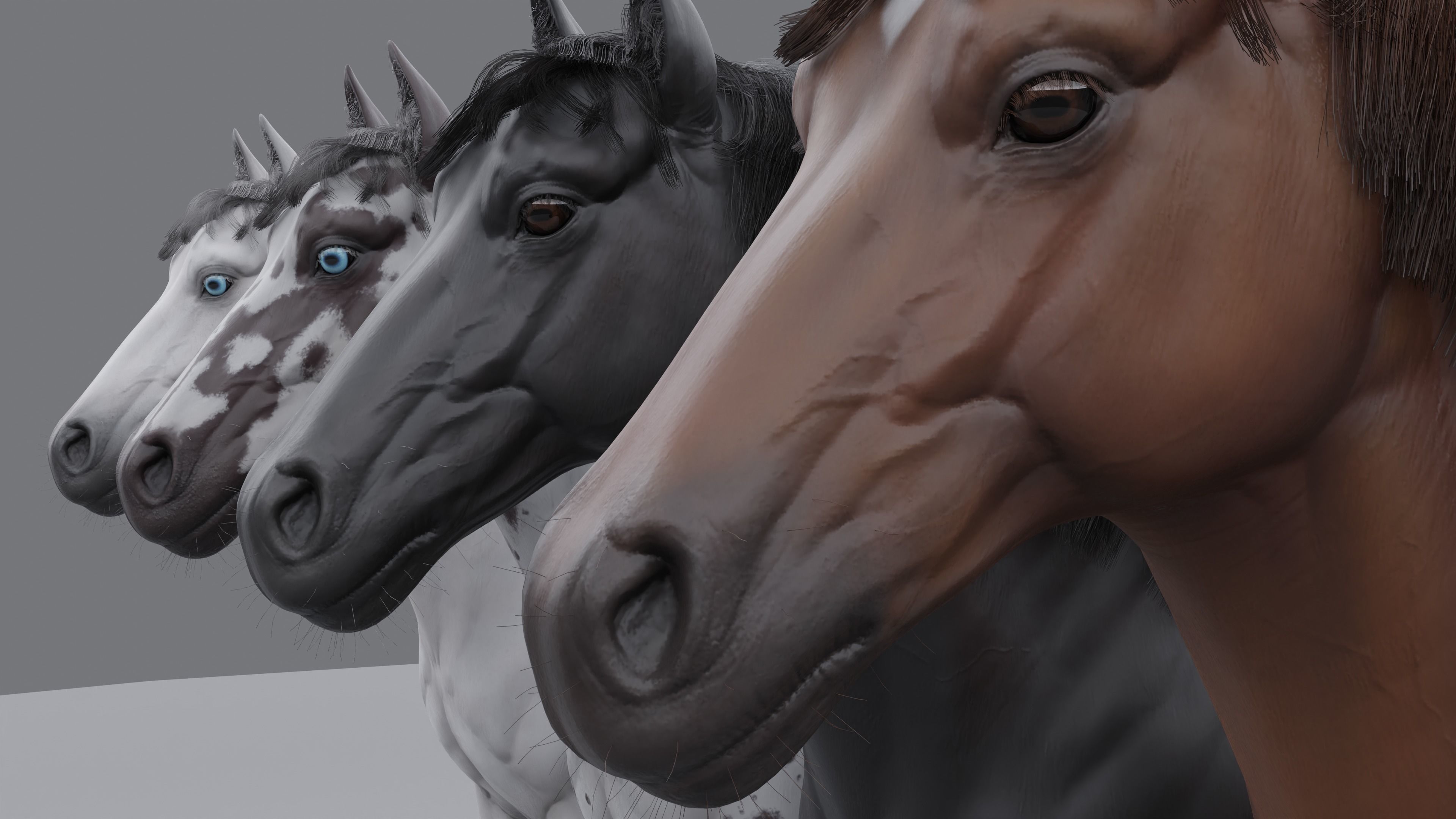 PBR Rigged Horse 4 styles 3D model_8