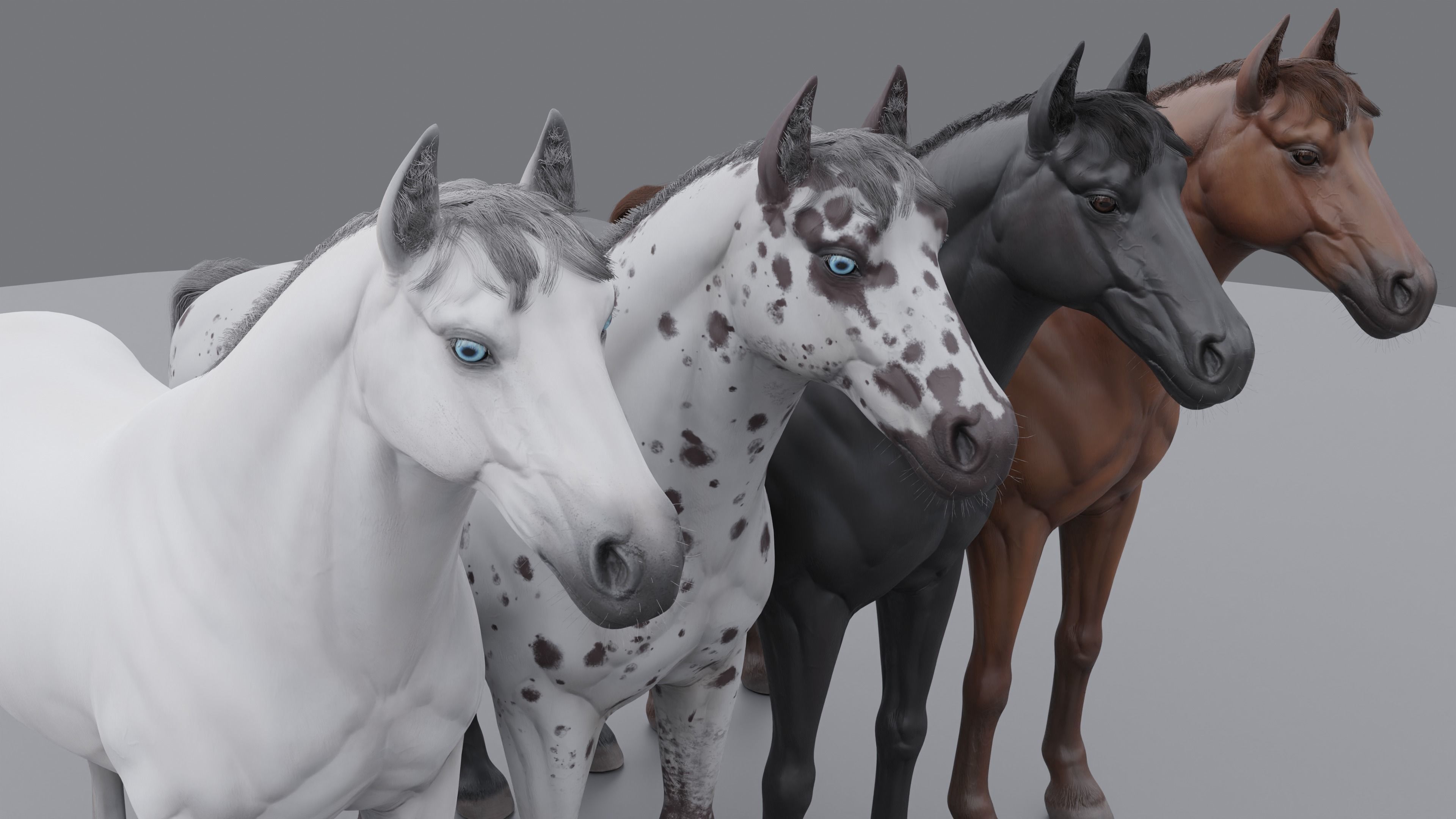 PBR Rigged Horse 4 styles 3D model_5