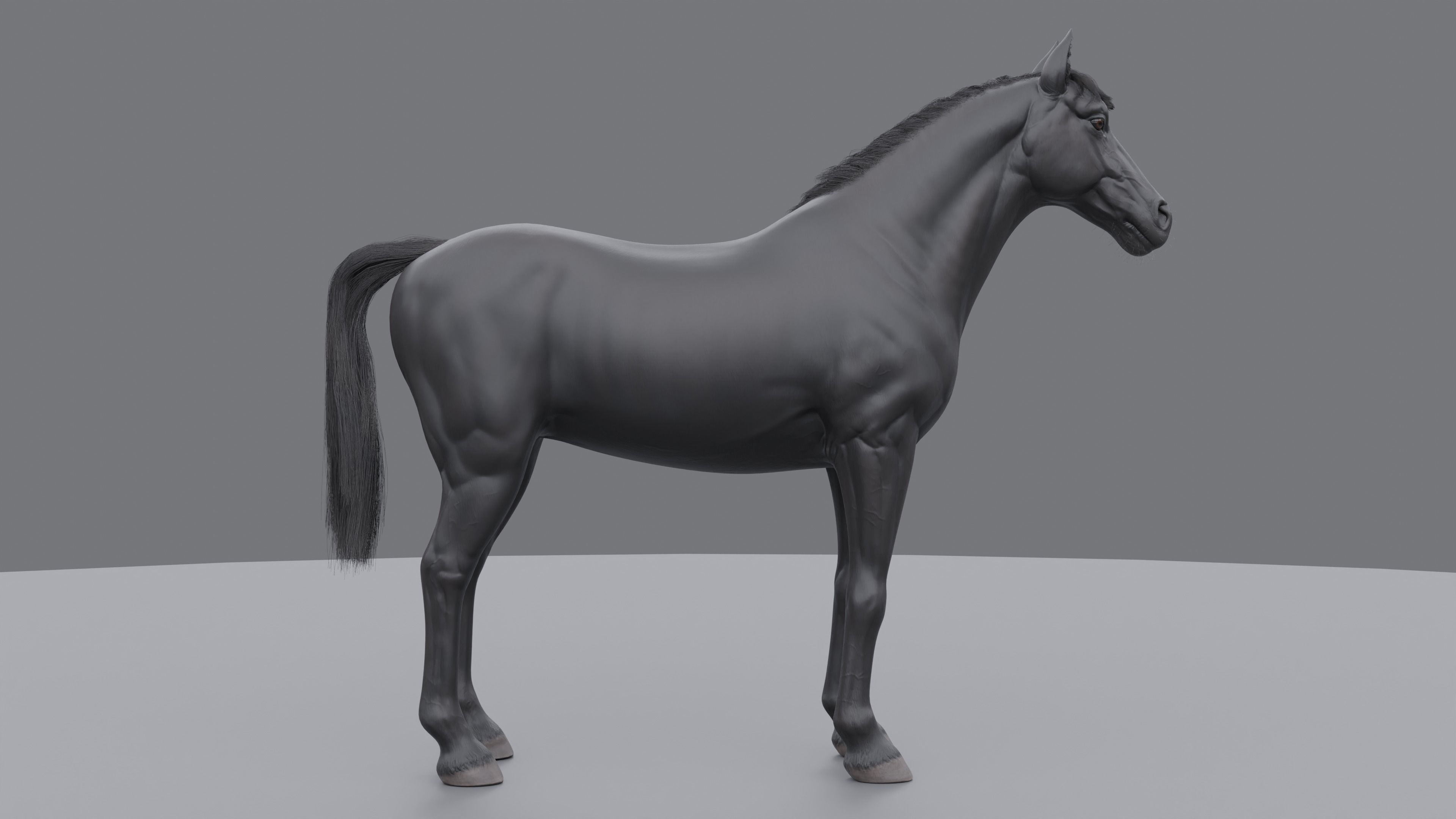 PBR Rigged Horse 4 styles 3D model_25