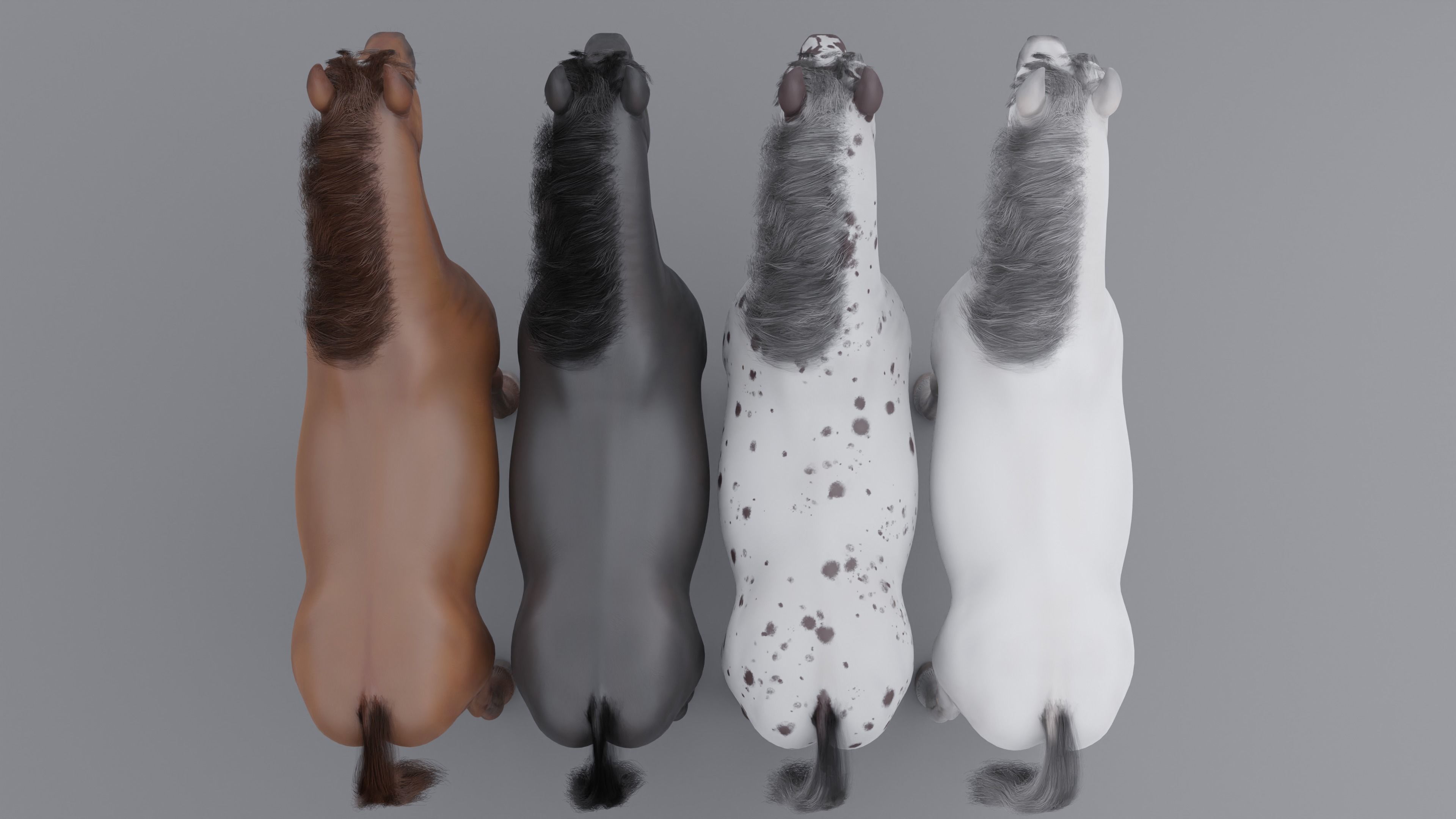 PBR Rigged Horse 4 styles 3D model_11