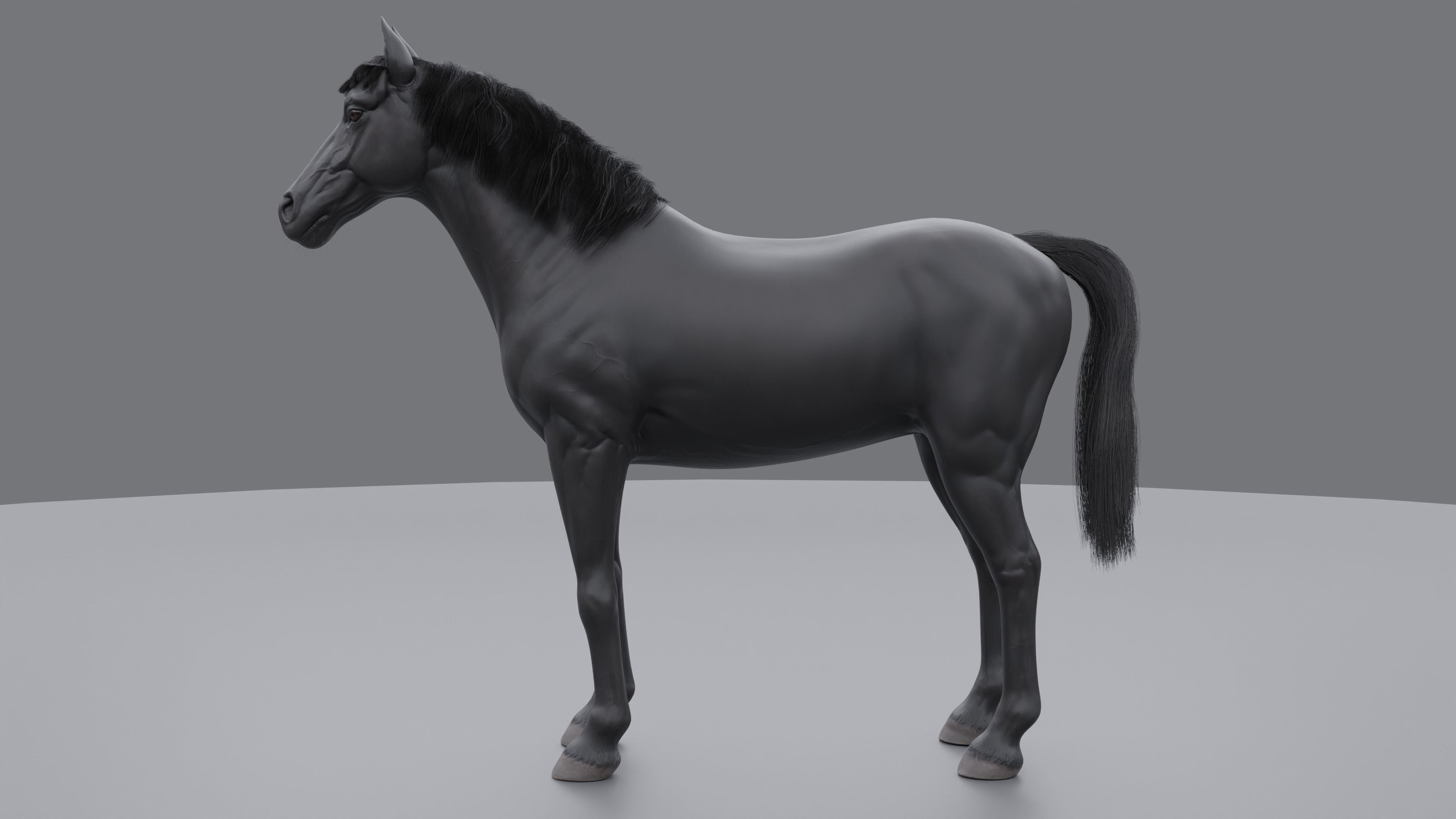 PBR Rigged Horse 4 styles 3D model_24