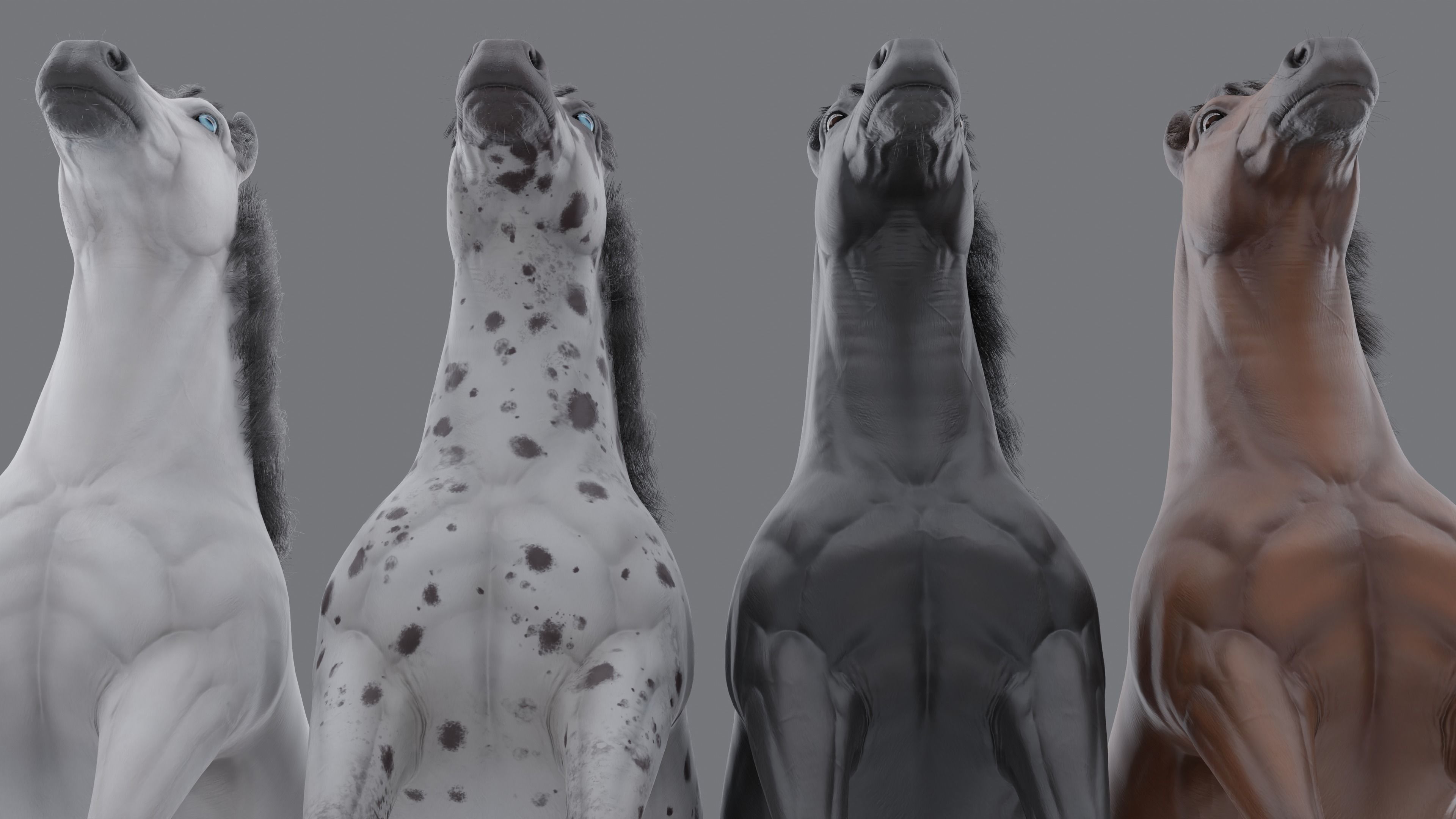 PBR Rigged Horse 4 styles 3D model_15