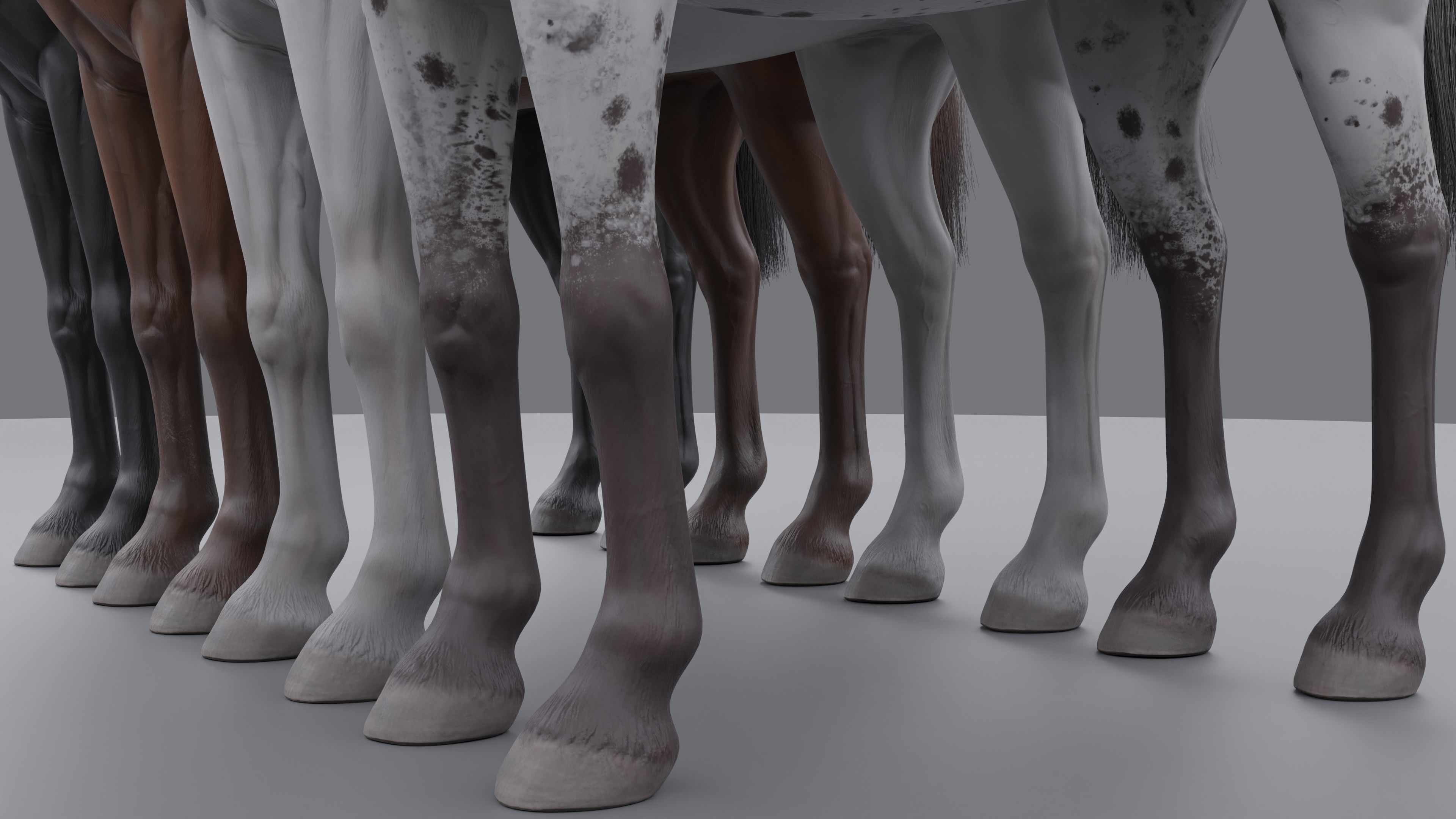 PBR Rigged Horse 4 styles 3D model_17