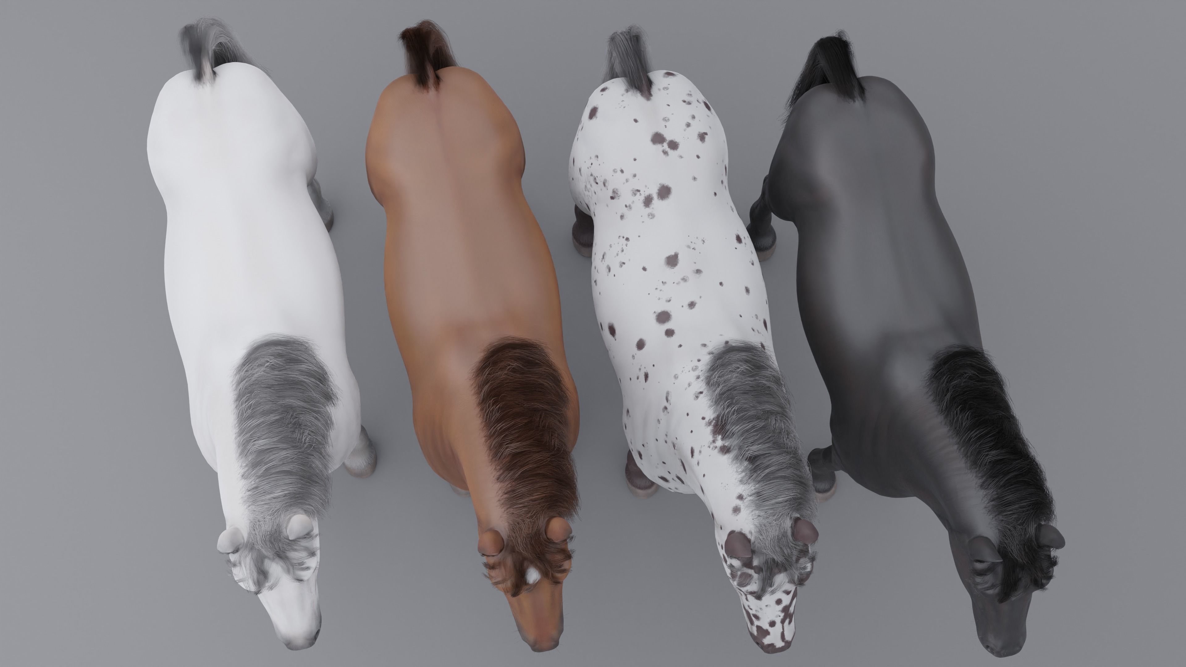 PBR Rigged Horse 4 styles 3D model_12